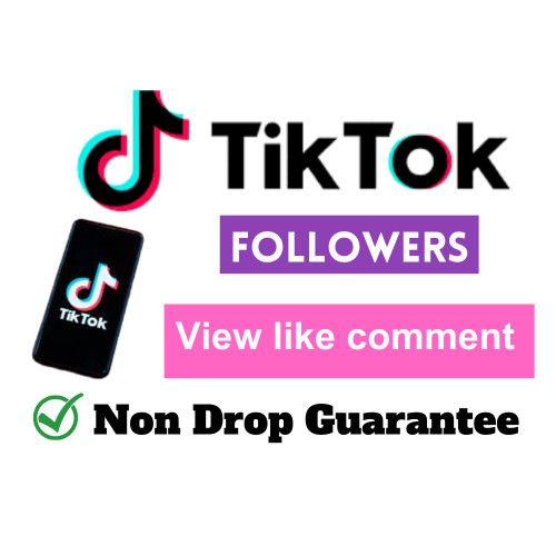 TIKTOK Follower 500